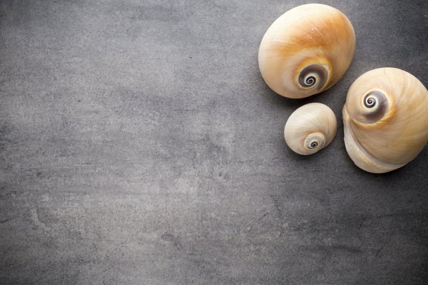 Quels sont les effets du chant choral sur la santé respiratoire ?