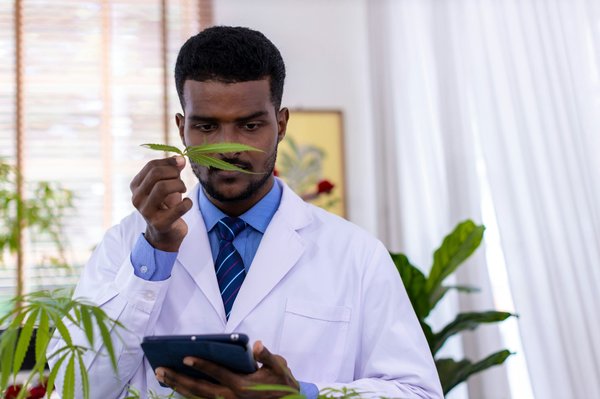 Les bienfaits du chanvre pour apaiser et hydrater votre peau